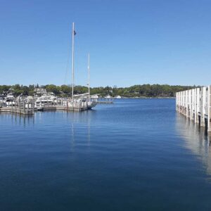 Daily Dockage: 50 Feet